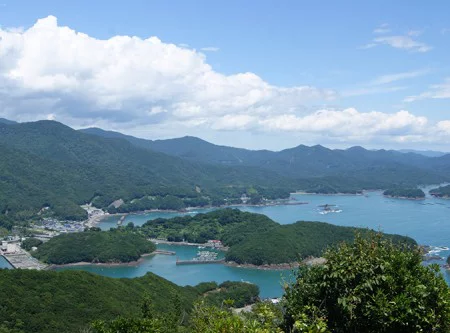 純国産アコヤ真珠の本当に美しさを御存知ですか|スタッフブログ|小林