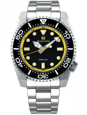 image_models06