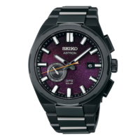 SBXD029